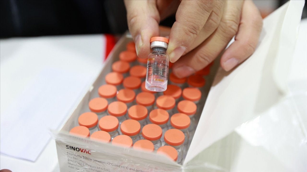 Covid-19 aşılarının Türkiye'deki dağıtım sürecinin ayrıntıları netleşti