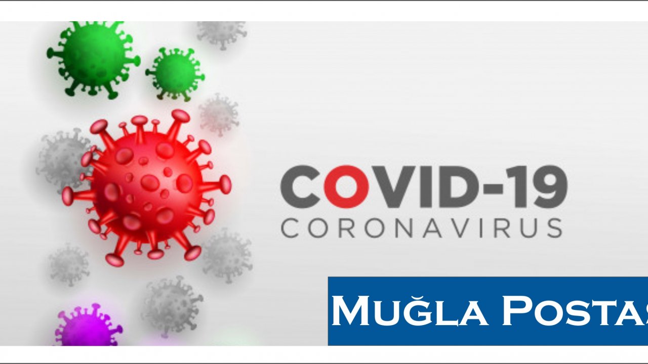 Çin'in geliştirdiği Covid-19 aşısı Sinovac'ın dünyada kullanımı artıyor