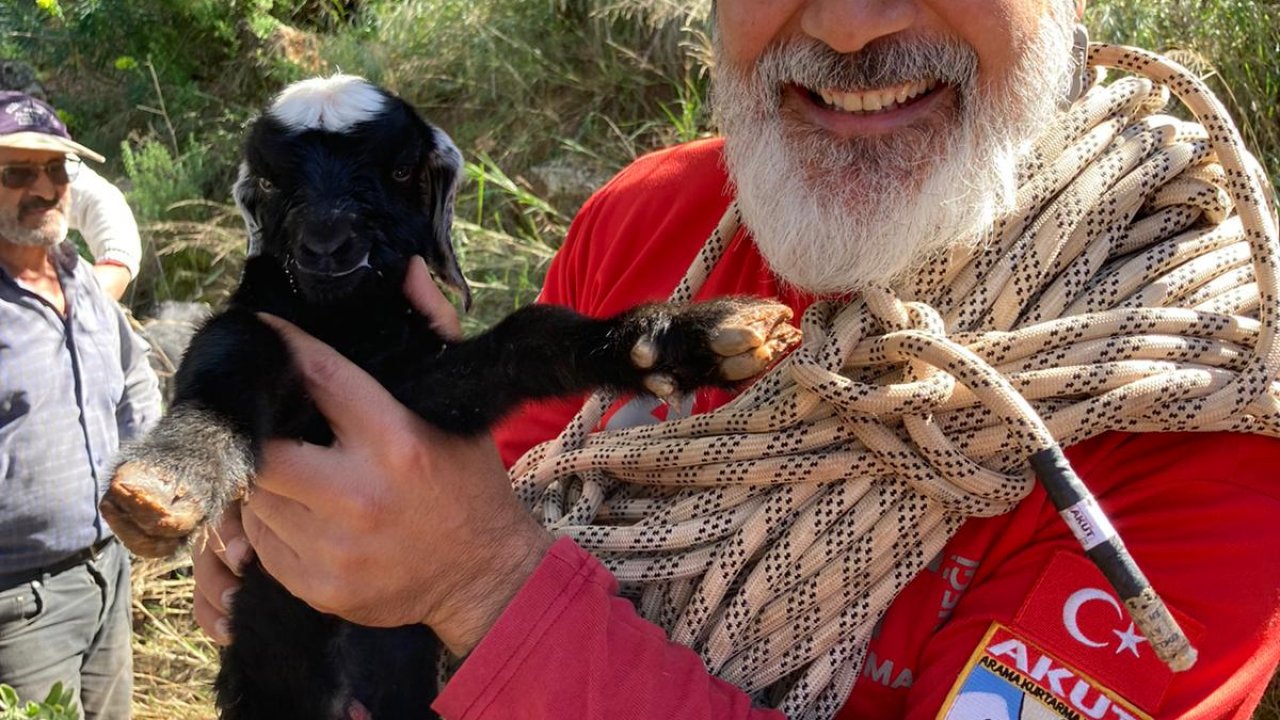 Kayalıklarda mahsur kalan keçi ve yeni doğan yavruları kurtarıldı