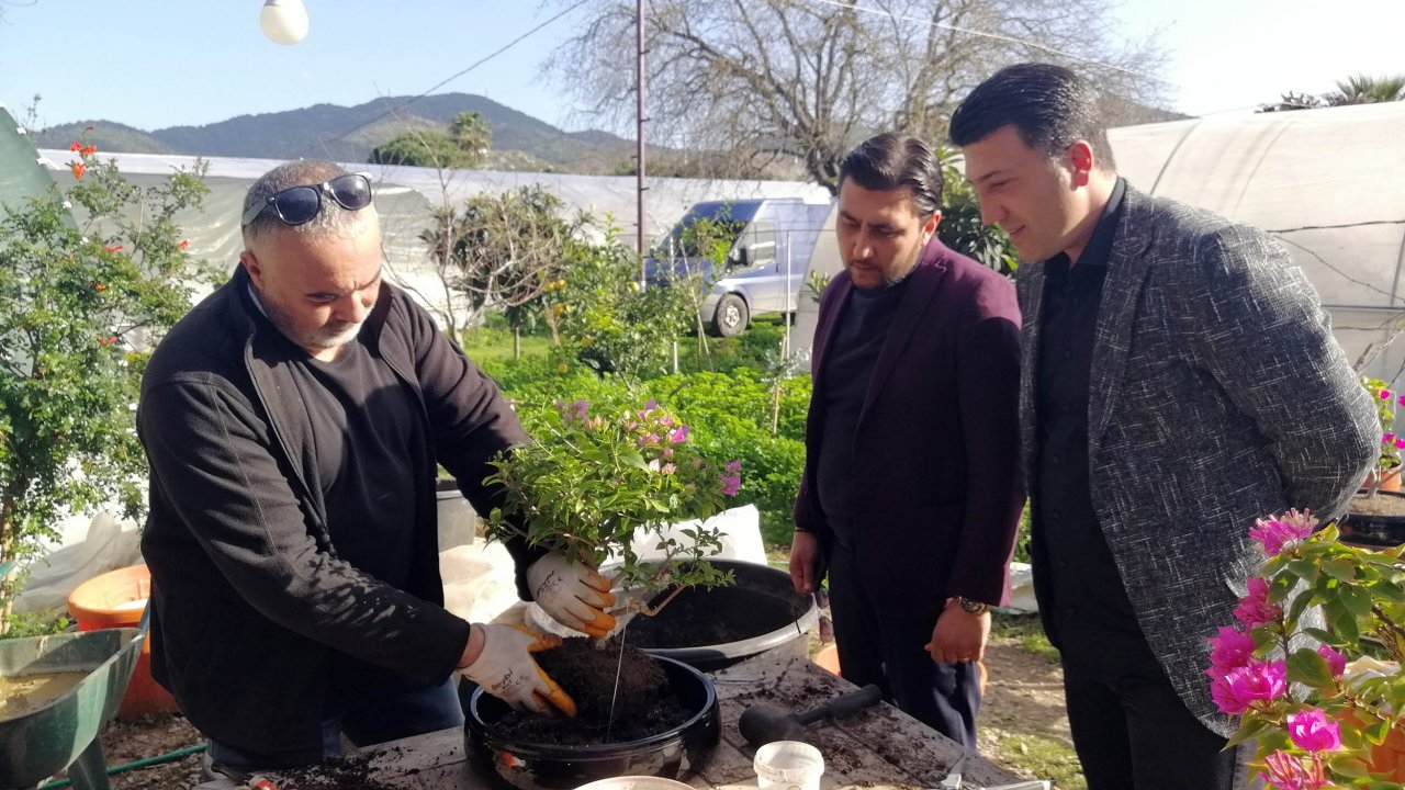 Başkan Kayhan, begonvil çiçeği üretim serasını ziyaret etti