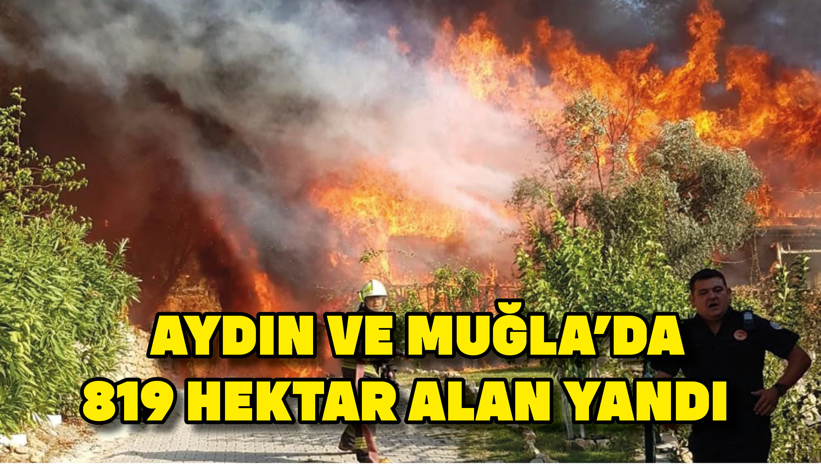 Aydın ve Muğla'da 819 hektar alan yandı