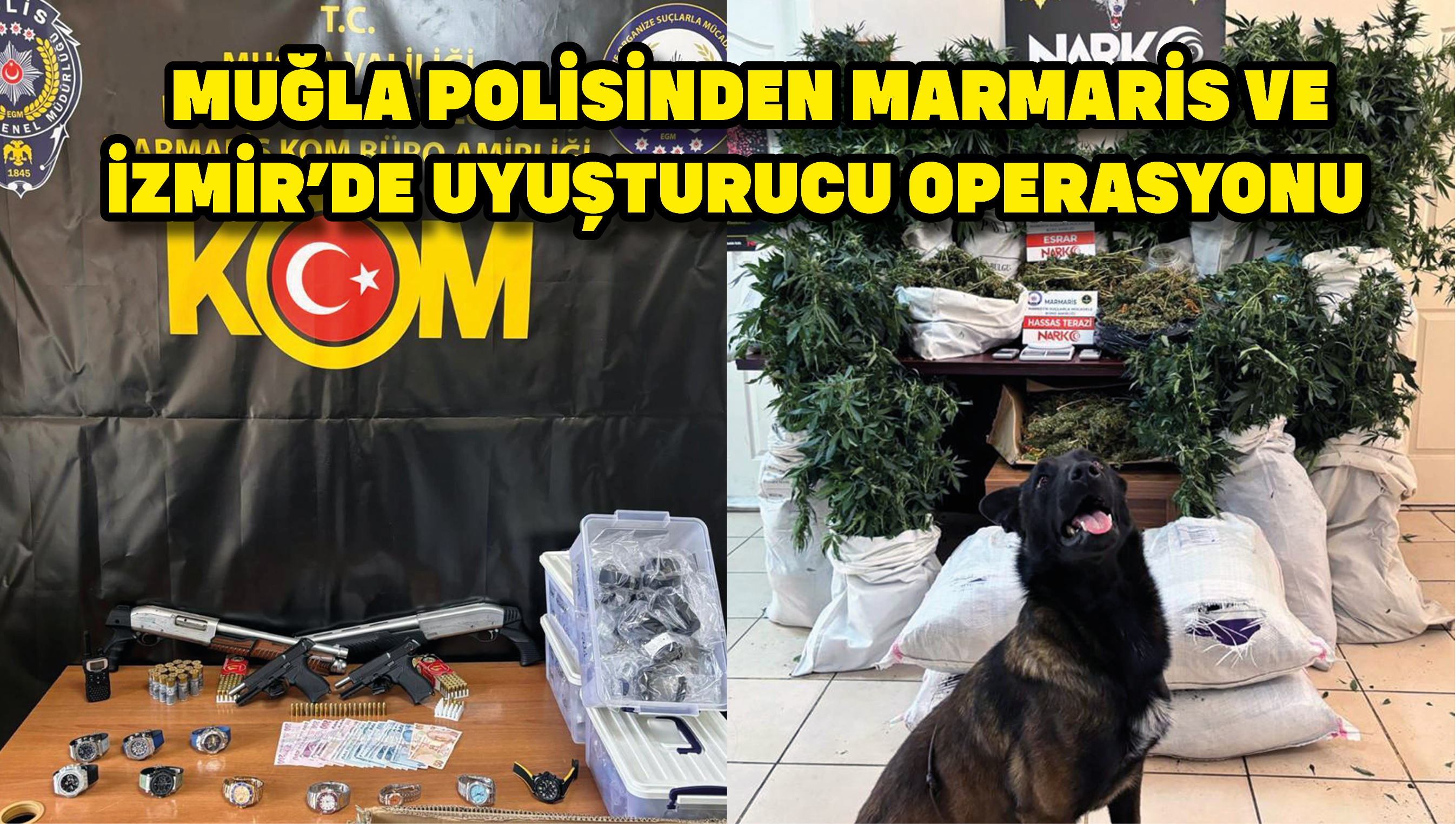 Muğla polisinden Marmaris ve İzmir’de uyuşturucu operasyonu