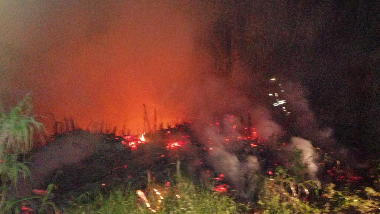 Sazlık alanda çıkan yangın söndürüldü