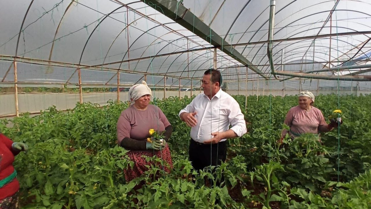 Milletvekili Alban: “Muğla’da çiftçiyi bitirdiler”
