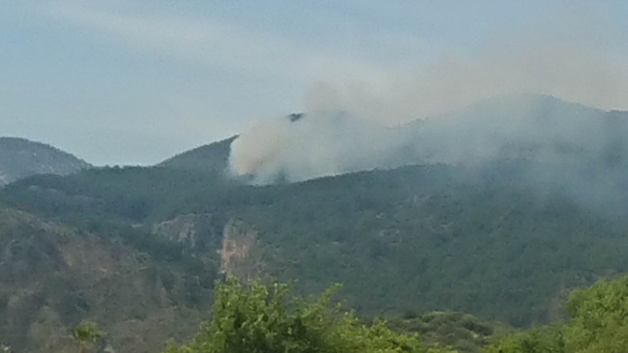 Ortaca'da orman yangını