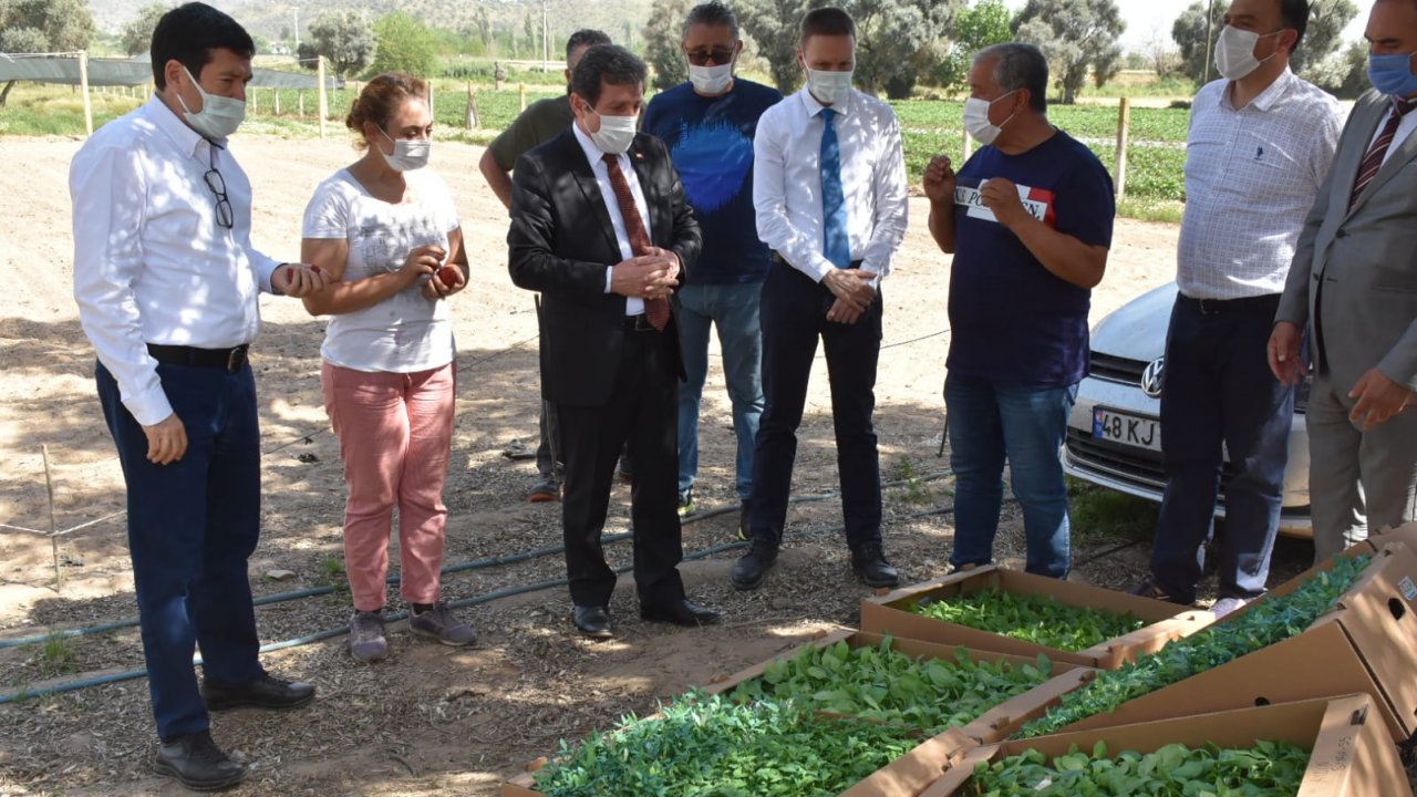 Muğla Valisi Orhan Tavlı, Milas’ta Tarım Üreticilerini Ziyaret Etti