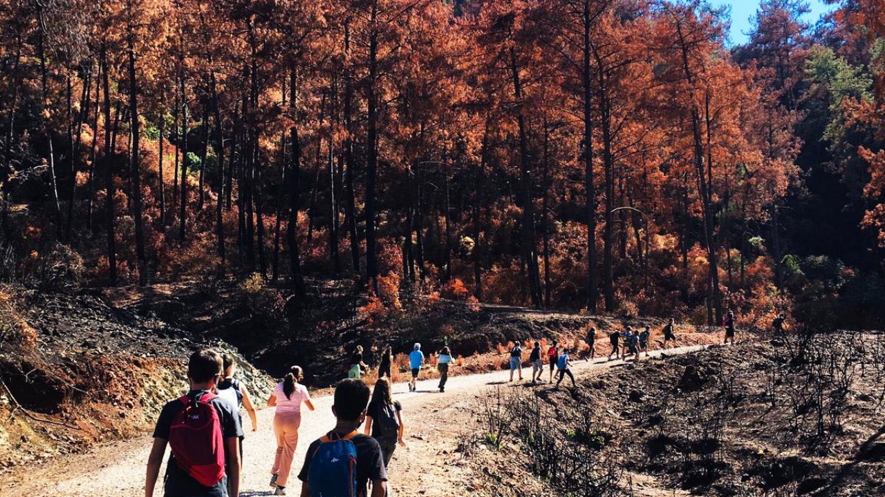 öğrenciler ormanları korumaya yemin etti