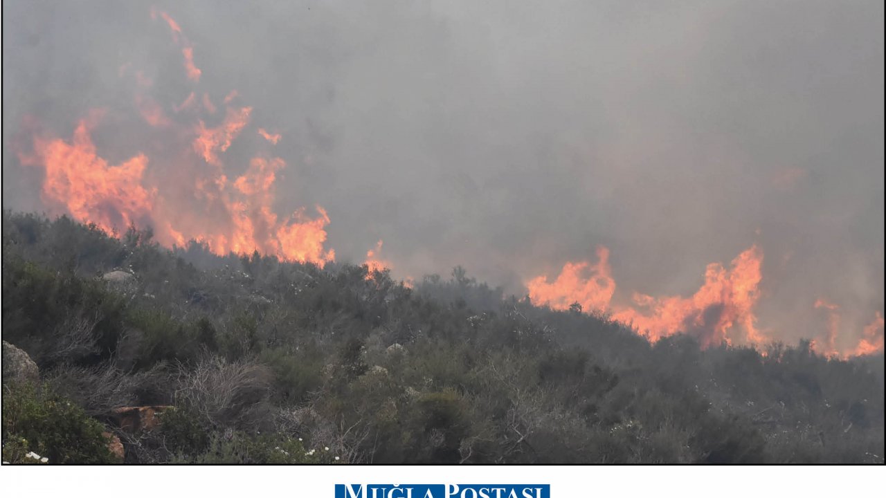 Bodrum'da ormanlık ve makilik alanda çıkan yangın kontrol altına alındı